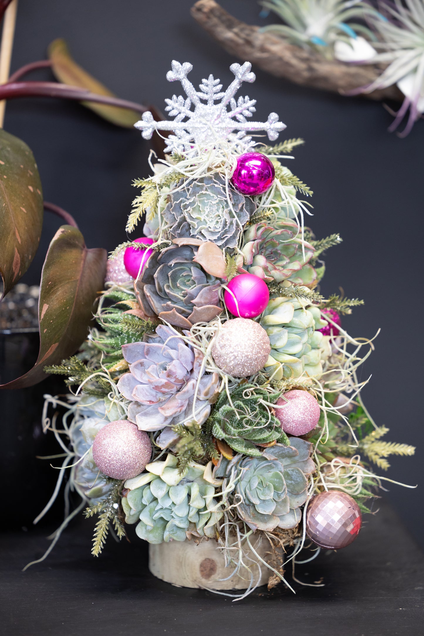 🎄 Succulent Christmas Tree – Pretty in Pink🩷