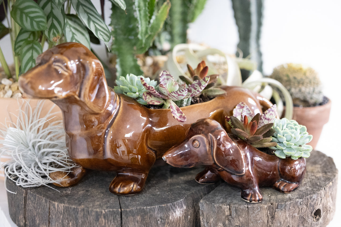 š¾ Small Dachshund Dog Planter