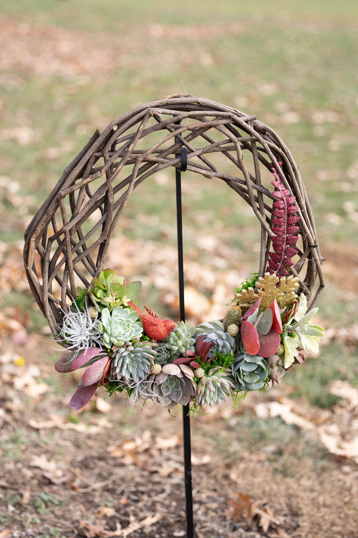 đ Large Succulent Grapevine Wreath