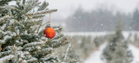 Grateful Hearts & Holiday Plans: Thank You for an Amazing Season at Jumbo’s 🎃✨