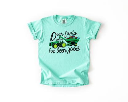 Dear Santa Youth Tee – Cute Christmas Shirt for Kids