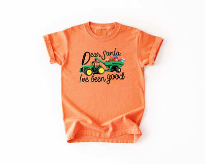Dear Santa Youth Tee – Cute Christmas Shirt for Kids