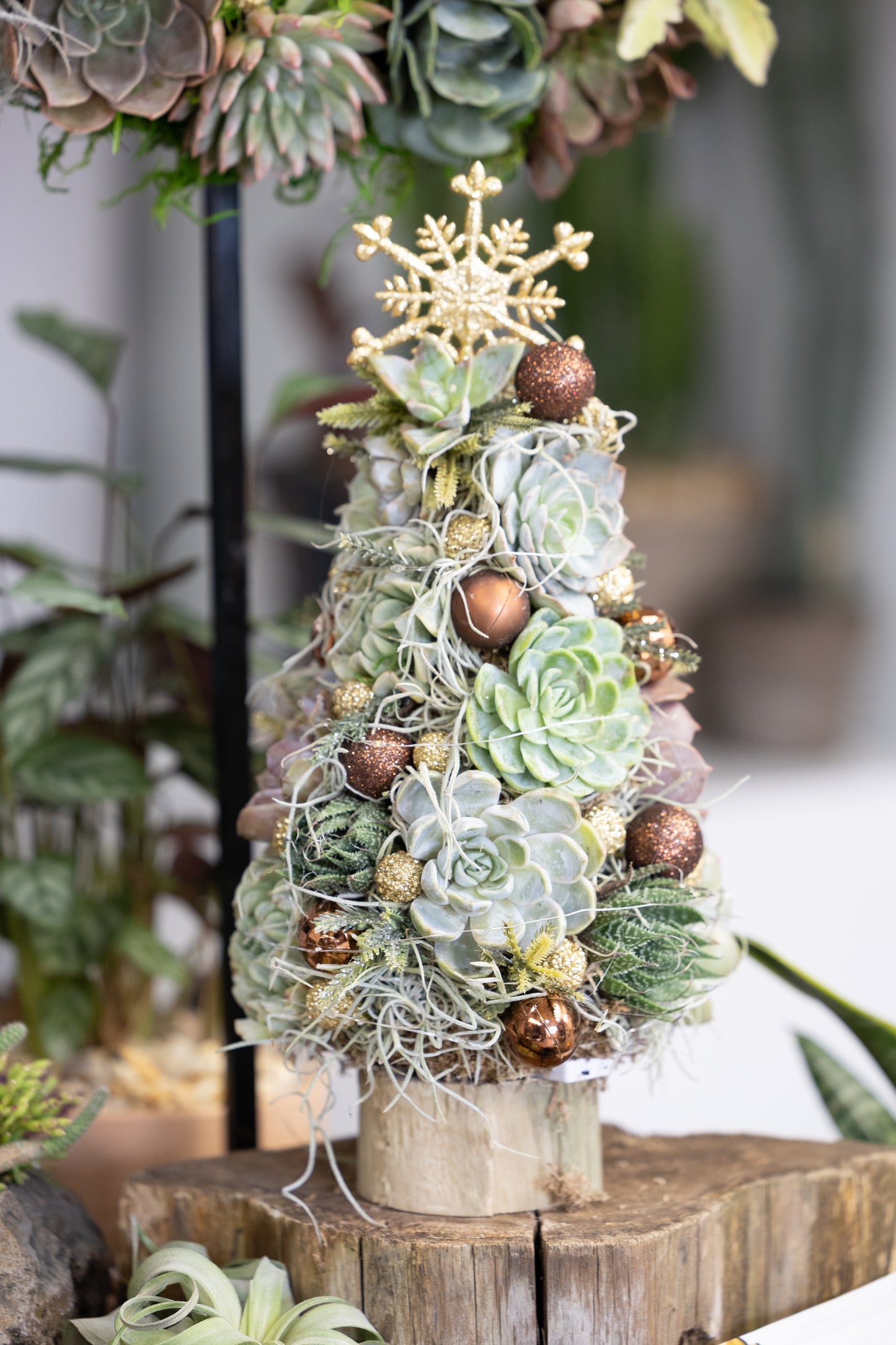 🎄 Succulent Christmas Tree – Copper & Gold Elegance