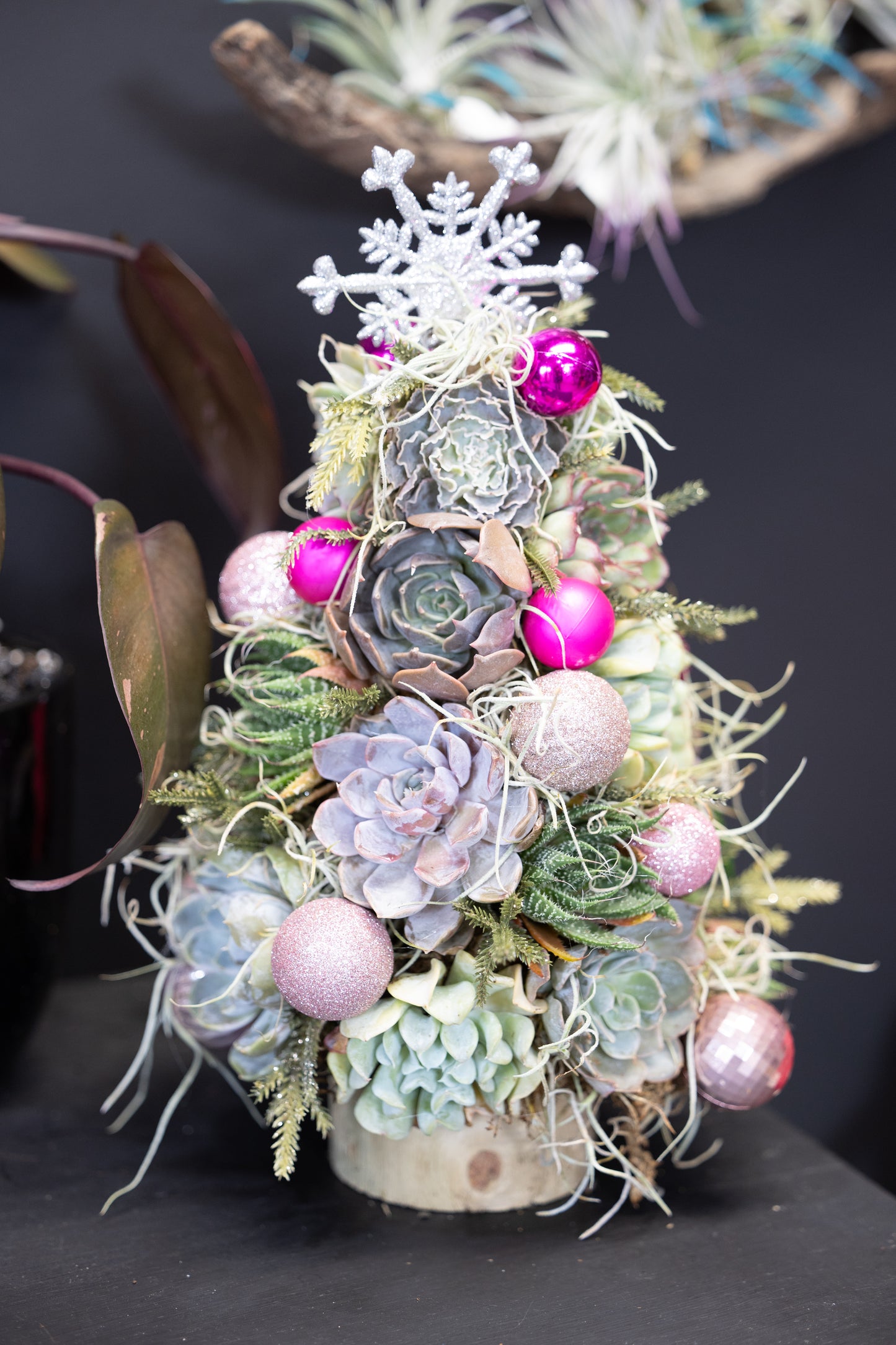 🎄 Succulent Christmas Tree – Pretty in Pink🩷