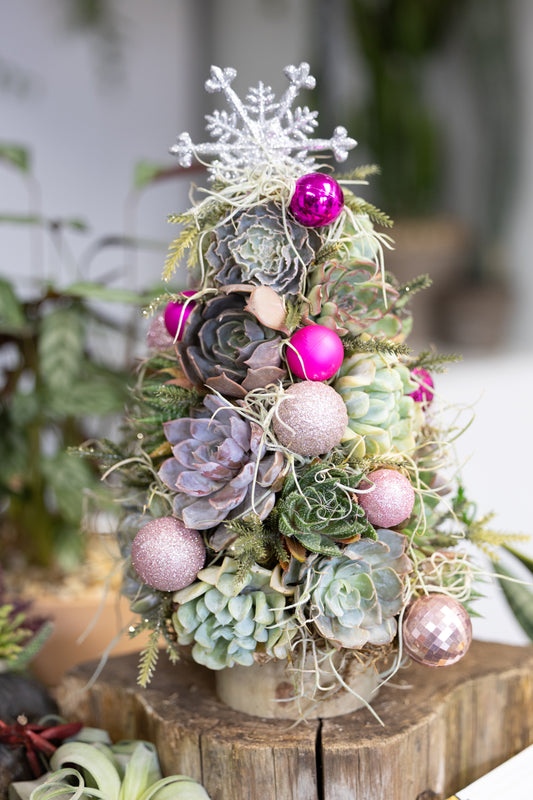 🎄 Succulent Christmas Tree – Pretty in Pink🩷