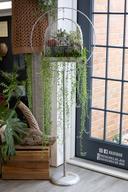 🕊️ Showstopping Planted Bird Cage
