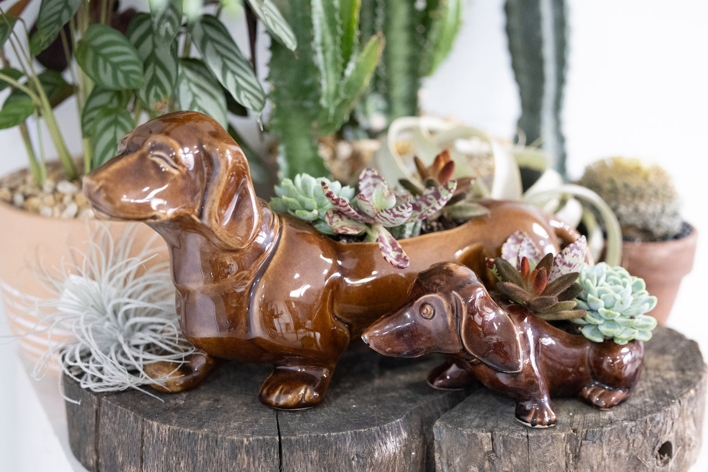 🐾 Large Dachshund Dog Planter