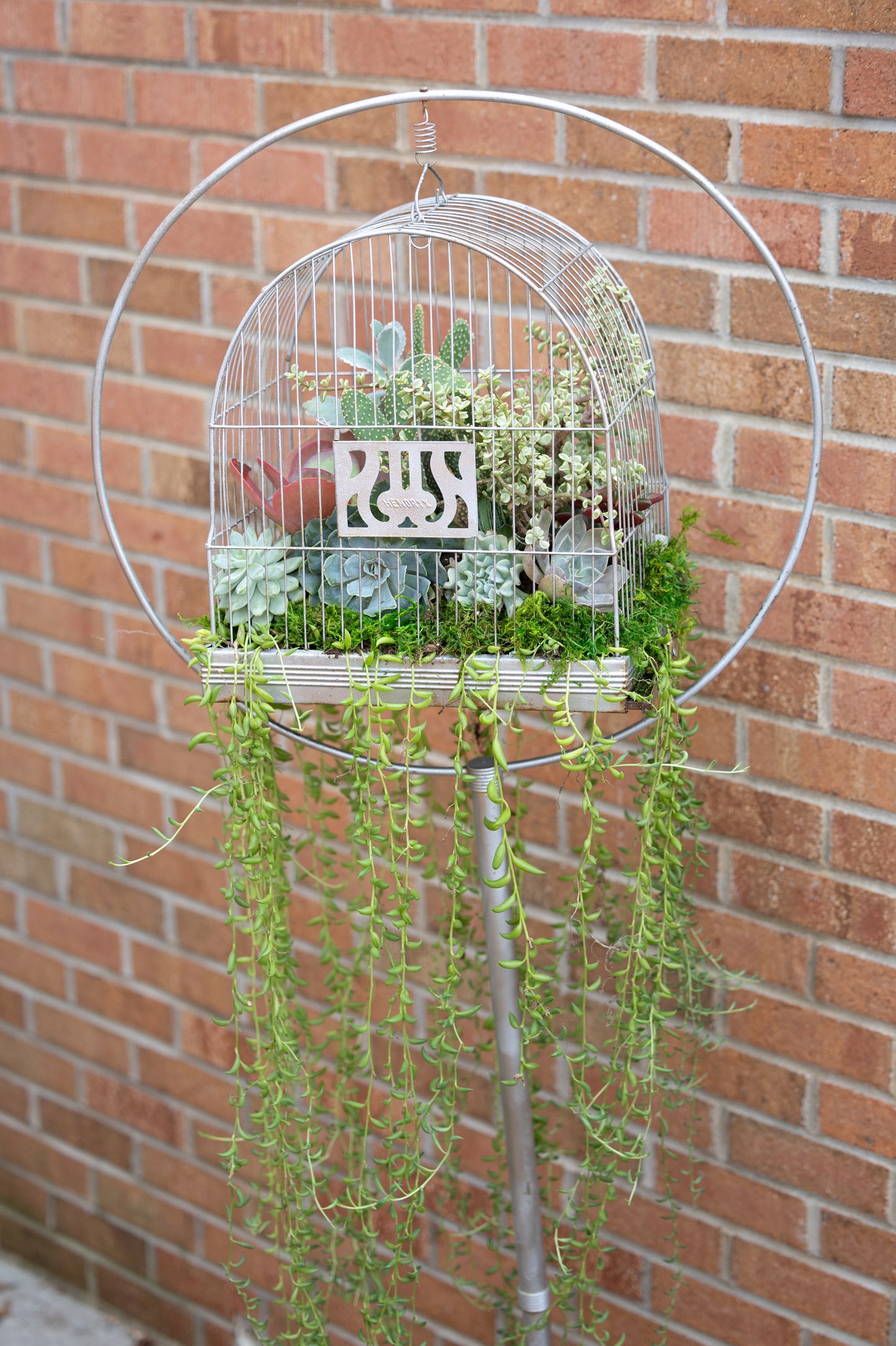 🕊️ Showstopping Planted Bird Cage