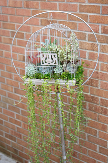 🕊️ Showstopping Planted Bird Cage