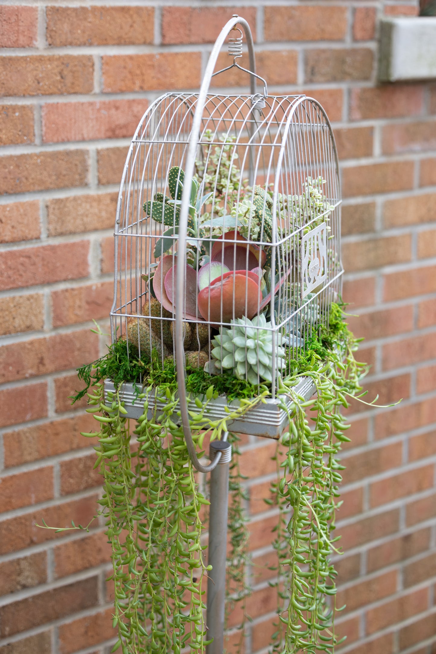 🕊️ Showstopping Planted Bird Cage
