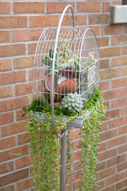 🕊️ Showstopping Planted Bird Cage