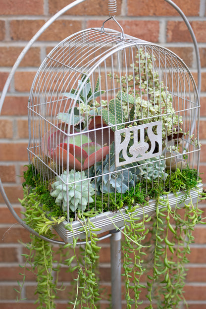 🕊️ Showstopping Planted Bird Cage