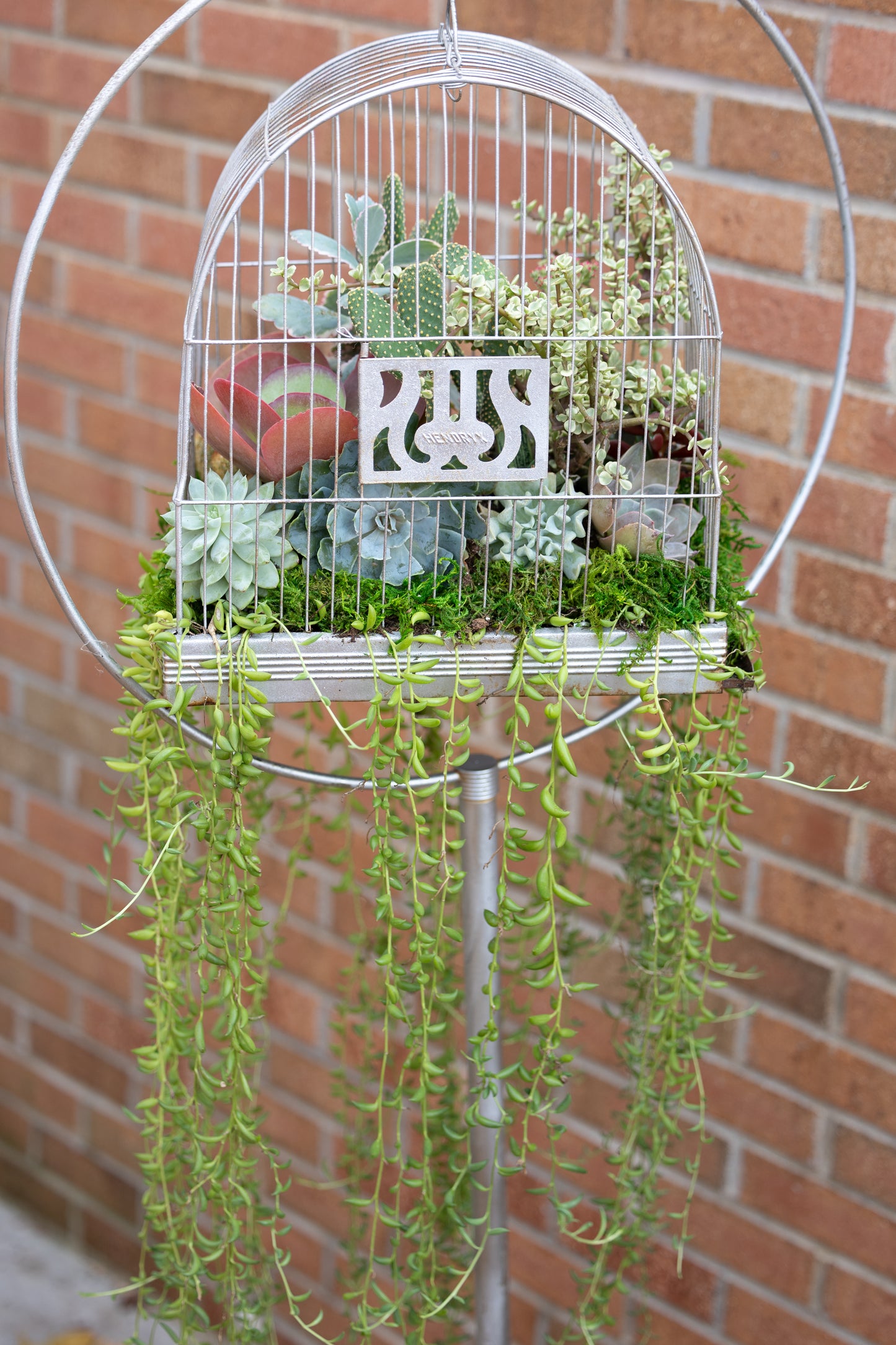🕊️ Showstopping Planted Bird Cage
