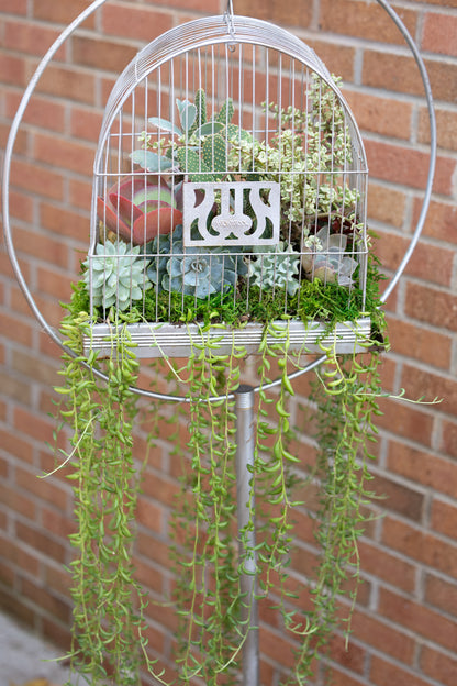 🕊️ Showstopping Planted Bird Cage