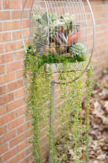 🕊️ Showstopping Planted Bird Cage