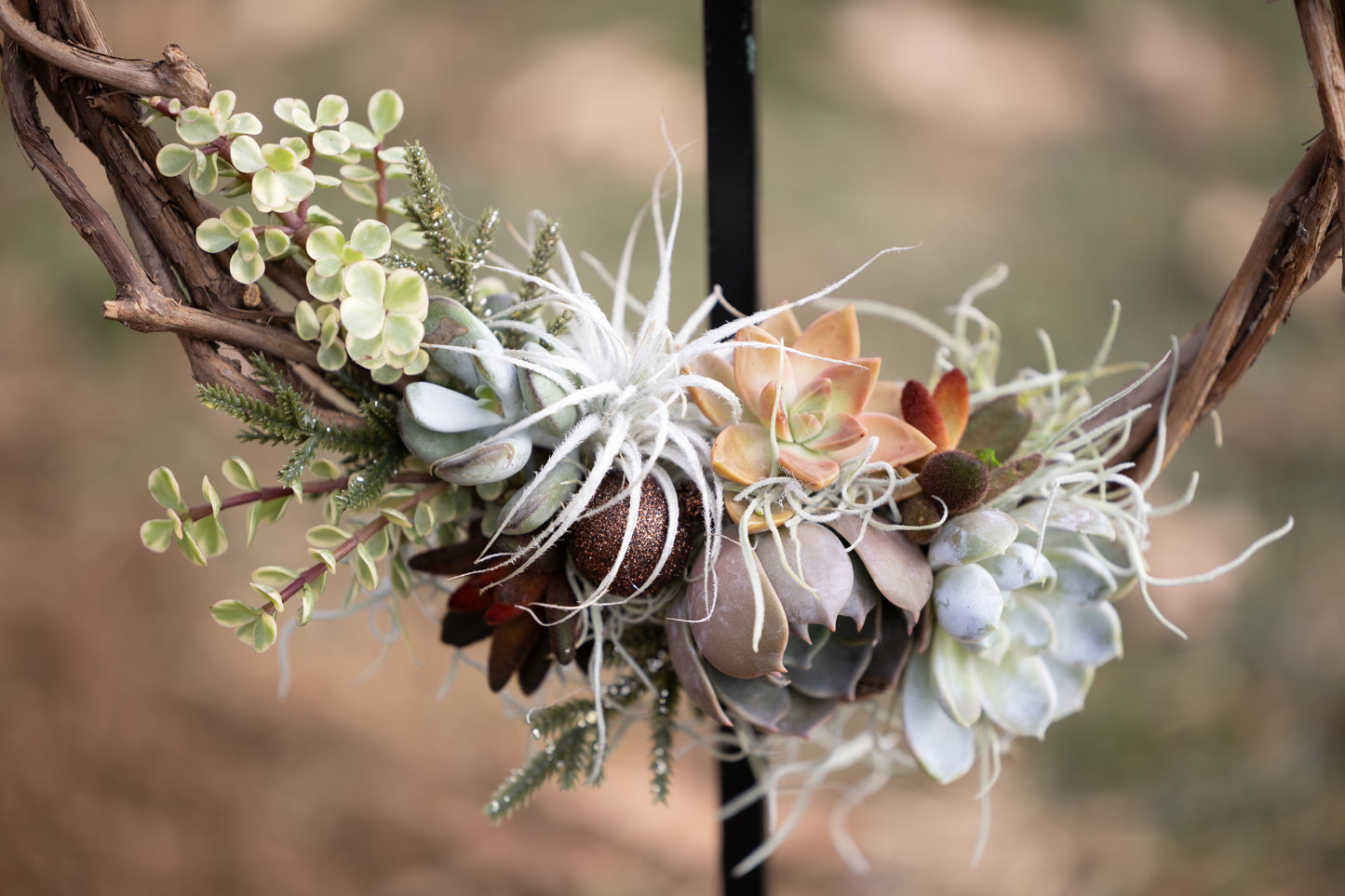 🍇 Succulent Grapevine Wreath
