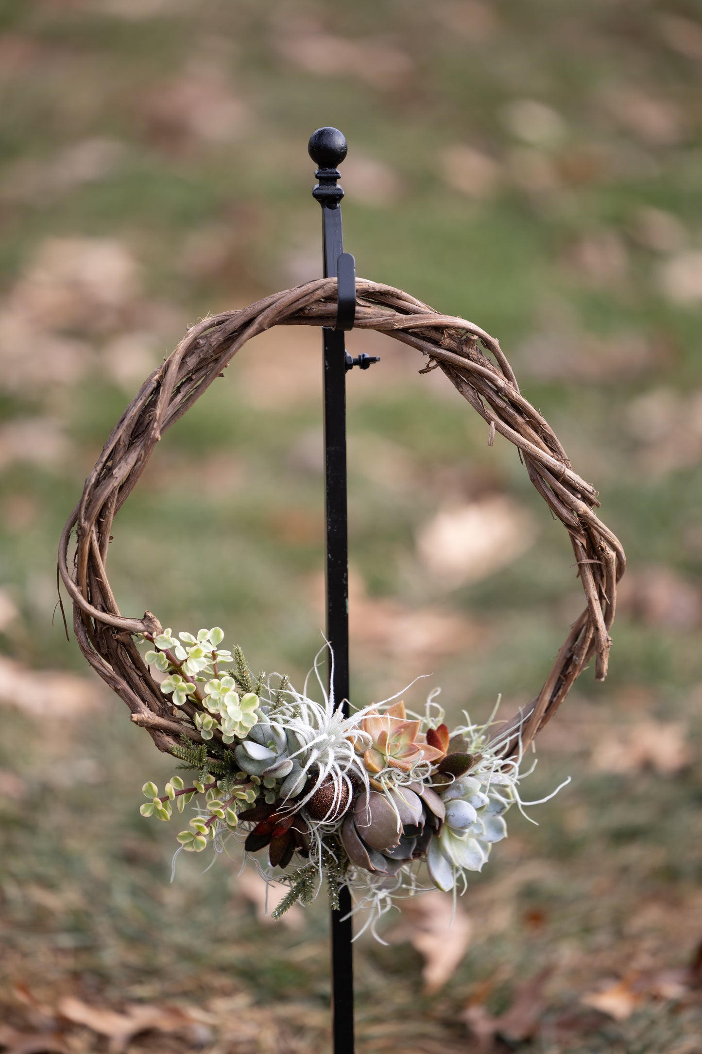 🍇 Succulent Grapevine Wreath