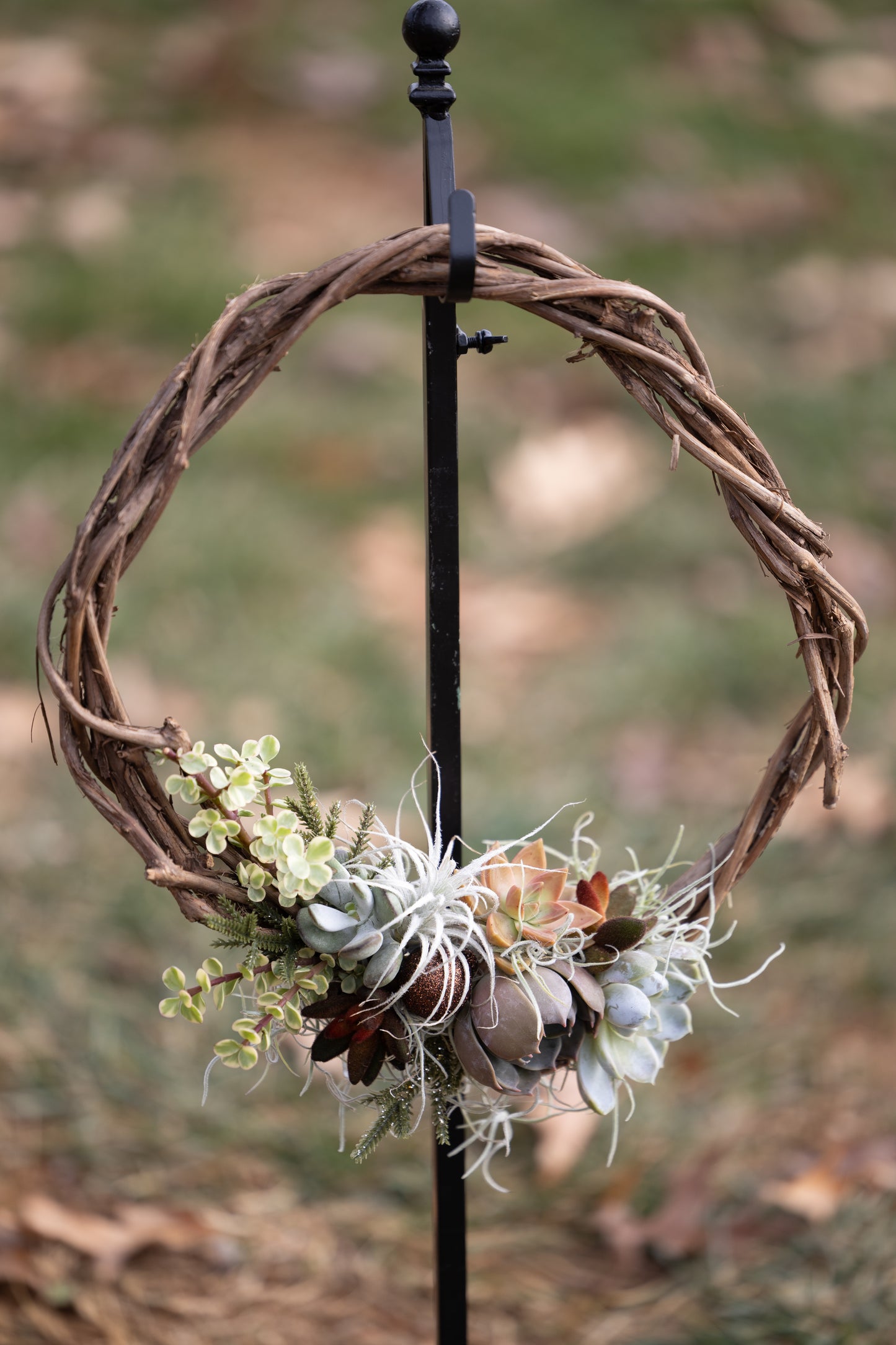 🍇 Succulent Grapevine Wreath
