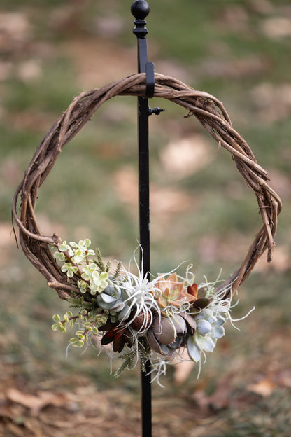 🍇 Succulent Grapevine Wreath