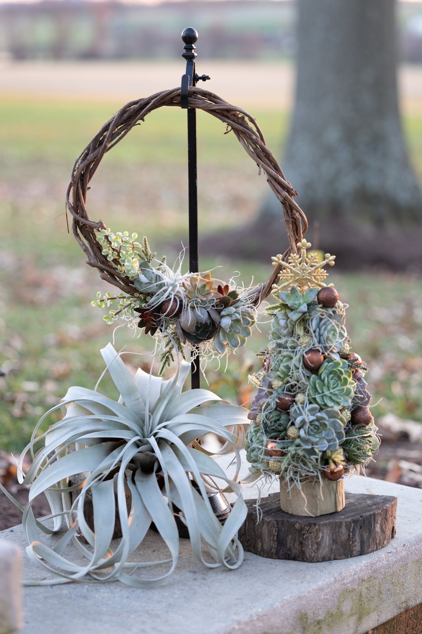 🍇 Succulent Grapevine Wreath