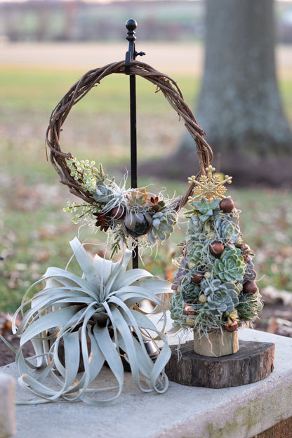 🍇 Succulent Grapevine Wreath