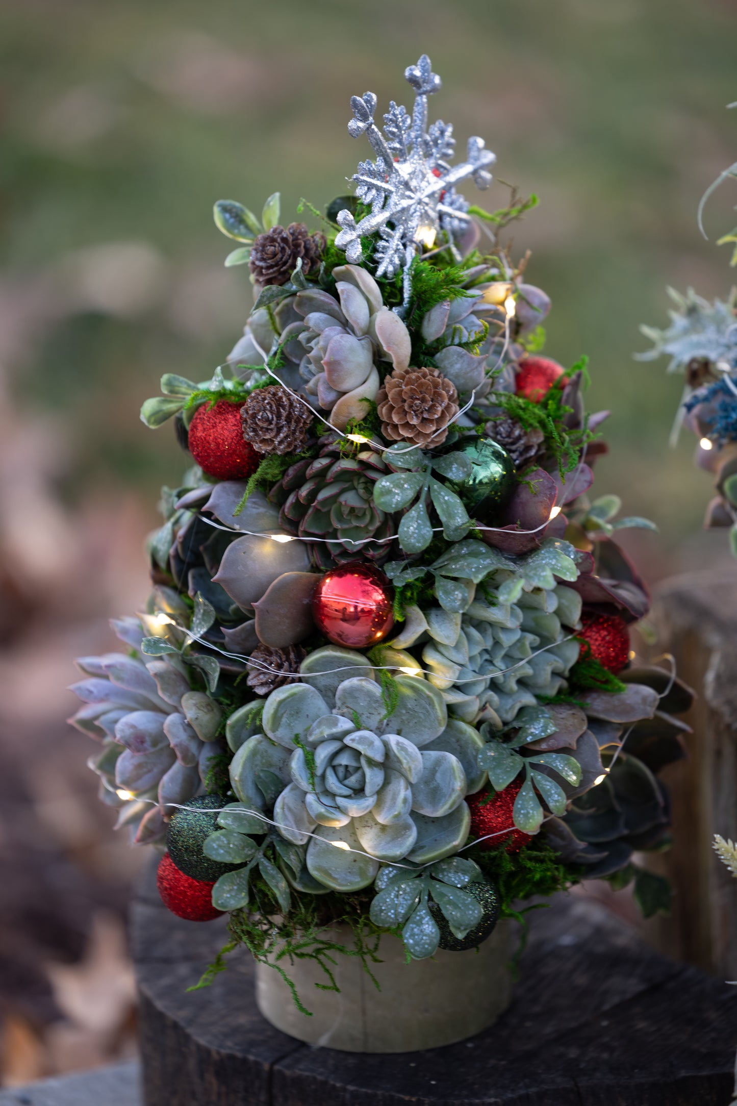 🎄Succulent Christmas Tree – Evergreen Elegance